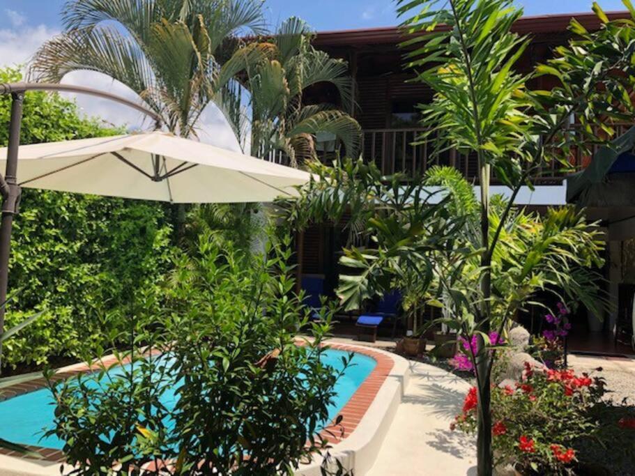 Casa Toucan Mit Privat Pool Near Np Ballena Holiday home Uvita