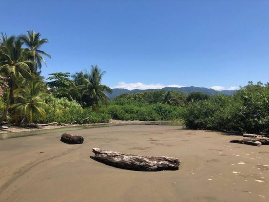 Casa Toucan Mit Privat Pool Near Np Ballena * Uvita