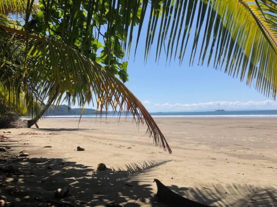 Casa Toucan Mit Privat Pool Near Np Ballena * Uvita