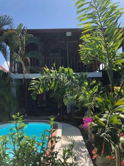 Casa Toucan Mit Privat Pool Near Np Ballena