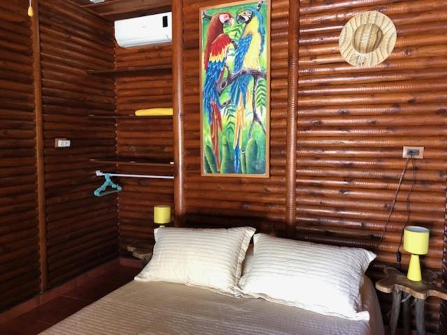 Casa Toucan Mit Privat Pool Near Np Ballena Holiday home Uvita